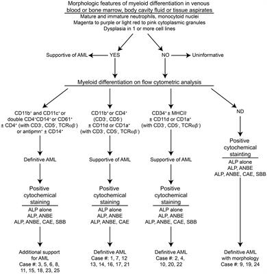 Dogs with Acute Myeloid Leukemia Have Clonal Rearrangements in T and B Cell Receptors